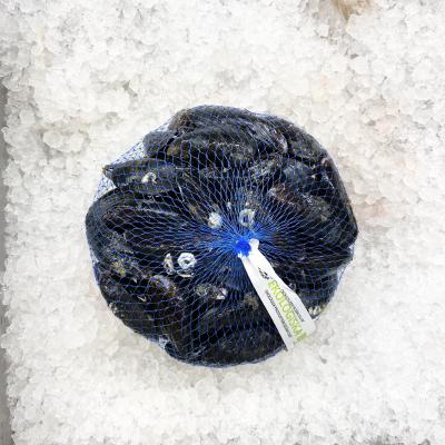 Blåmusslor