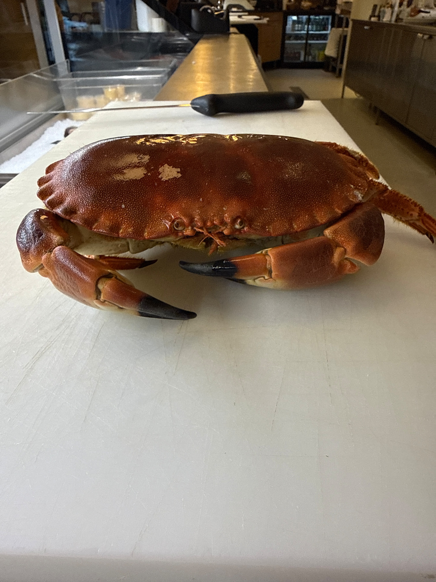 Irländsk krabba — 550 kr/kg